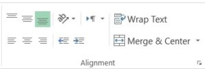 Ms excel Alignment group