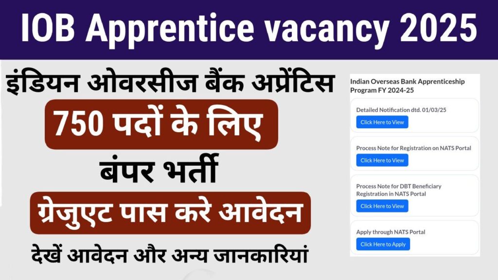 Indian Overseas Bank Apprentice Vacancy 2025